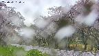 takano5-20250511060110.jpg