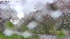 takano5-20250511061108.jpg
