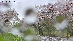 takano5-20250511063108.jpg
