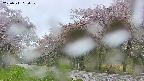 takano5-20250511064110.jpg