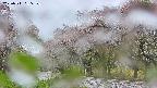 takano5-20250511065110.jpg