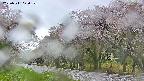 takano5-20250511070110.jpg