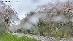 takano5-20250511071110.jpg