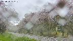 takano5-20250511072109.jpg