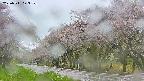 takano5-20250511073110.jpg