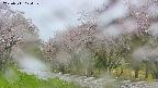 takano5-20250511074110.jpg