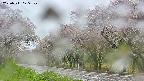 takano5-20250511075109.jpg
