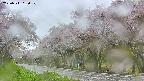 takano5-20250511080110.jpg