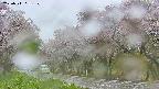 takano5-20250511081110.jpg