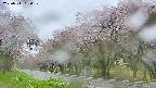 takano5-20250511090110.jpg