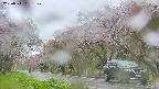 takano5-20250511091108.jpg
