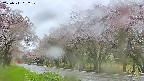 takano5-20250511092110.jpg