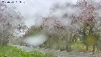 takano5-20250511093111.jpg