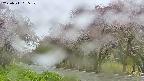 takano5-20250511095110.jpg