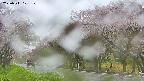 takano5-20250511101108.jpg