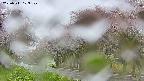 takano5-20250511103109.jpg