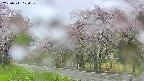 takano5-20250511104110.jpg
