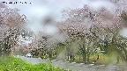 takano5-20250511105111.jpg