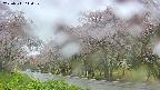 takano5-20250511110111.jpg