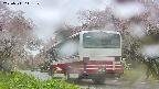 takano5-20250511111110.jpg
