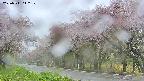 takano5-20250511112108.jpg