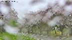 takano5-20250511113110.jpg