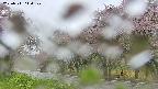 takano5-20250511114109.jpg