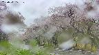 takano5-20250511121110.jpg