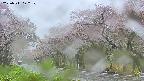 takano5-20250511122110.jpg