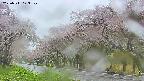 takano5-20250511123110.jpg