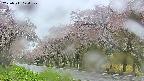 takano5-20250511124109.jpg