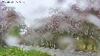takano5-20250511125108.jpg
