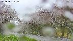 takano5-20250511130110.jpg