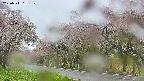 takano5-20250511131110.jpg