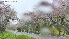 takano5-20250511134109.jpg