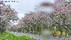 takano5-20250511140110.jpg