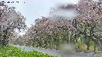takano5-20250511141111.jpg