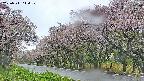 takano5-20250511144113.jpg