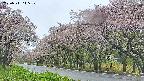 takano5-20250511145113.jpg