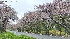 takano5-20250511151112.jpg