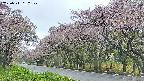 takano5-20250511152111.jpg