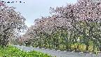 takano5-20250511153112.jpg