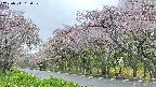 takano5-20250511154113.jpg