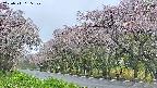 takano5-20250511155111.jpg