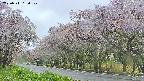 takano5-20250511160111.jpg
