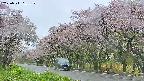 takano5-20250511161111.jpg