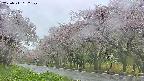 takano5-20250511162111.jpg