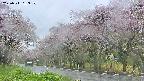 takano5-20250511163110.jpg