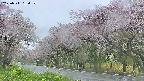 takano5-20250511164111.jpg