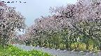 takano5-20250511165110.jpg